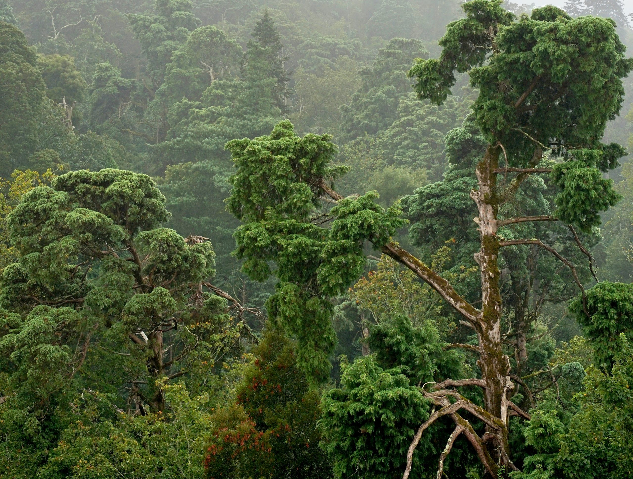 Fotos de Josefuna Martos