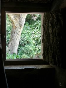 Josefina Martos Peregrín