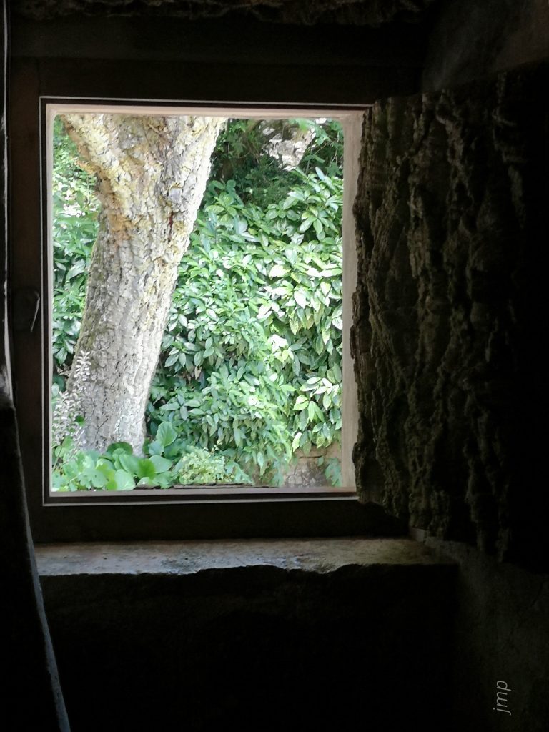 Josefina Martos Peregrín